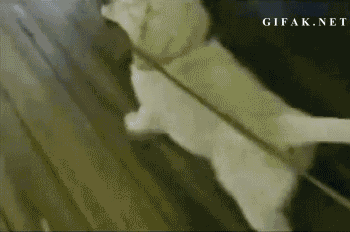 987192-20130408-0ZoXC0.gif