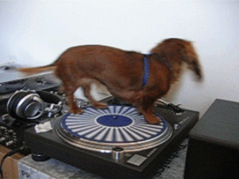 1232990692127.gif
