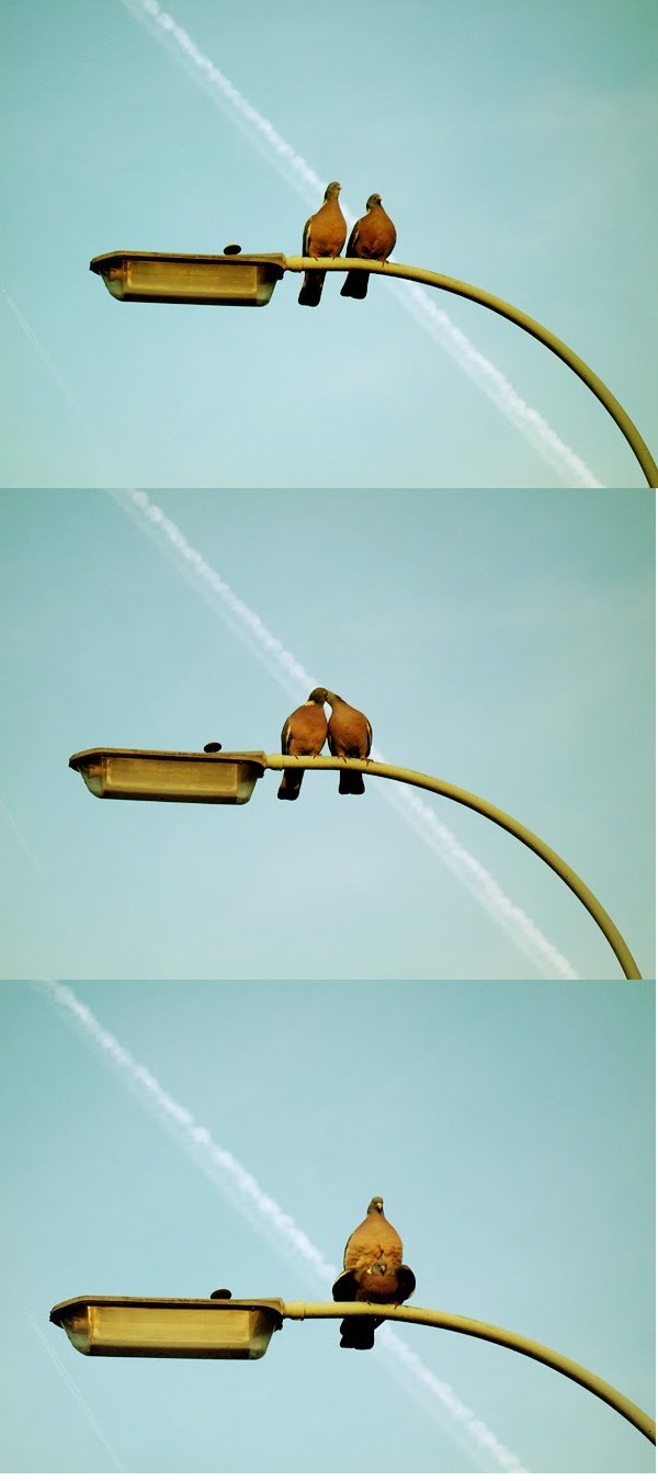45722-20100606-5BxhAc.png