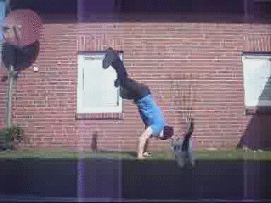 1281277745175.gif