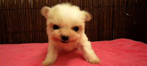 225237-20110505-0lSjab.gif