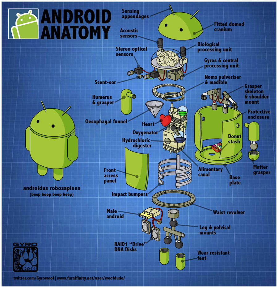Android-Anatomy.jpg