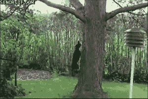 1ff016dd-ac08-4f0d-ab0f-e02ffdcc9e4c.gif