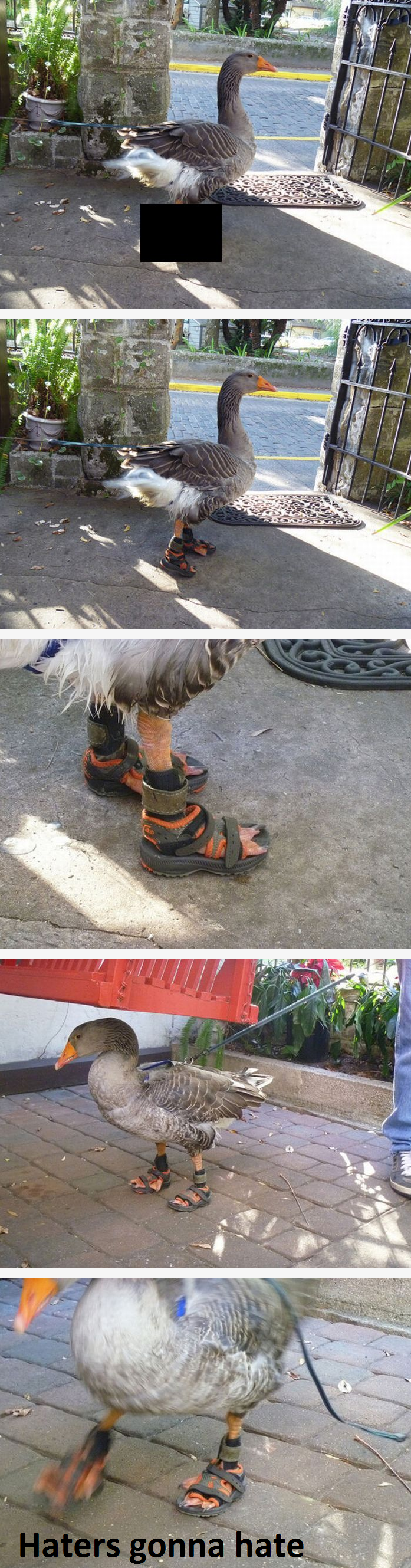 248569-20110606-ICJh7o.png