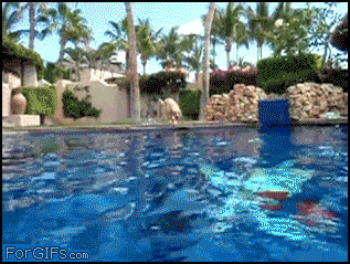 Egif_01.gif