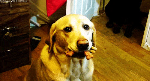 332865-20110909-FoPRr4.gif