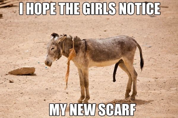 Hope_The_Girls_Notice.jpg