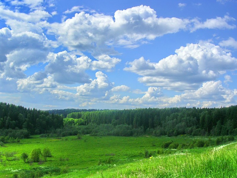 357156-20111010-wTyGxK.jpg