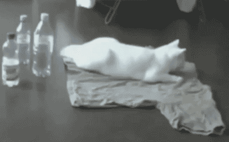 357216-20111010-0YbPs7.gif