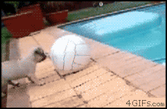 wgifs_06.gif