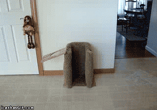 406919-20111212-urZKJR.gif
