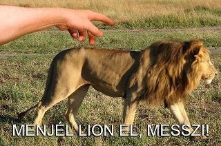 459231-20120202-WtGfjh.jpg