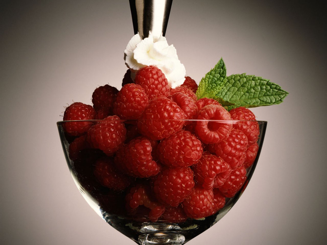 459302-20120202-IQTTTV.jpg