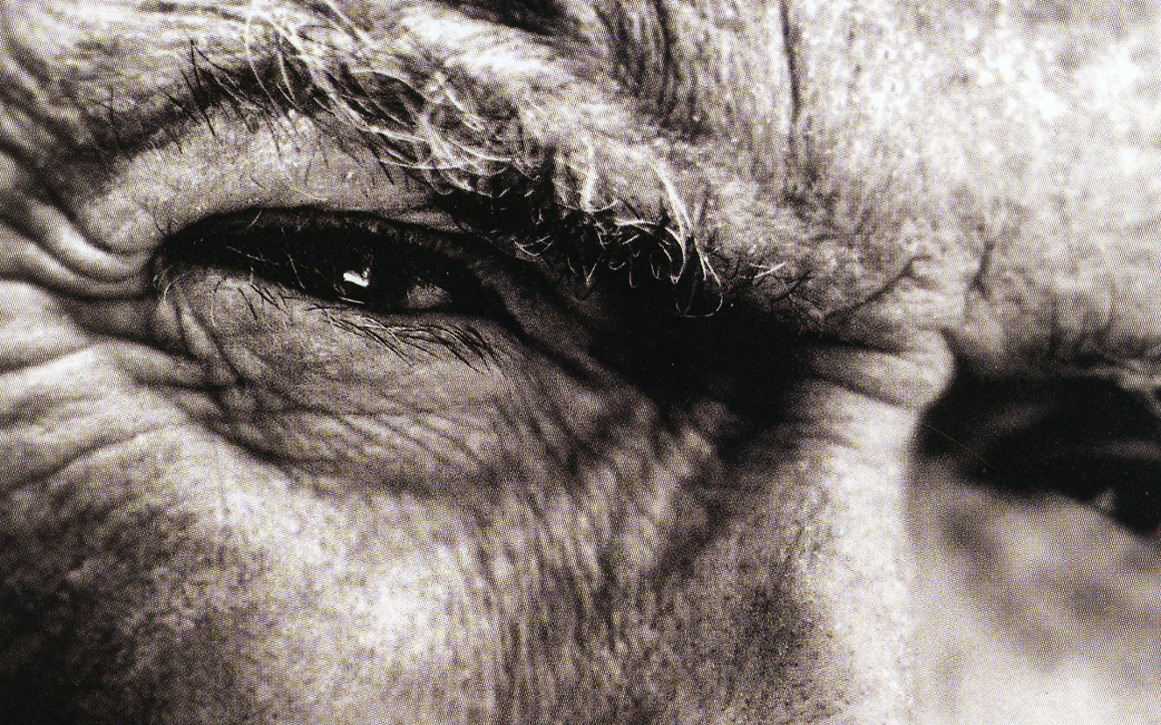 459382-20120202-FBAaXX.jpg