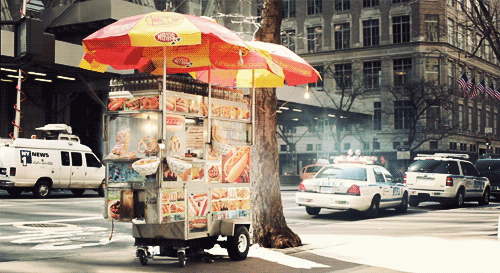 489134-20120302-1ewHRN.gif