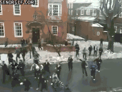 489916-20120303-pUtcA6.gif