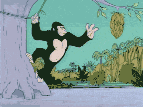 monkey.gif