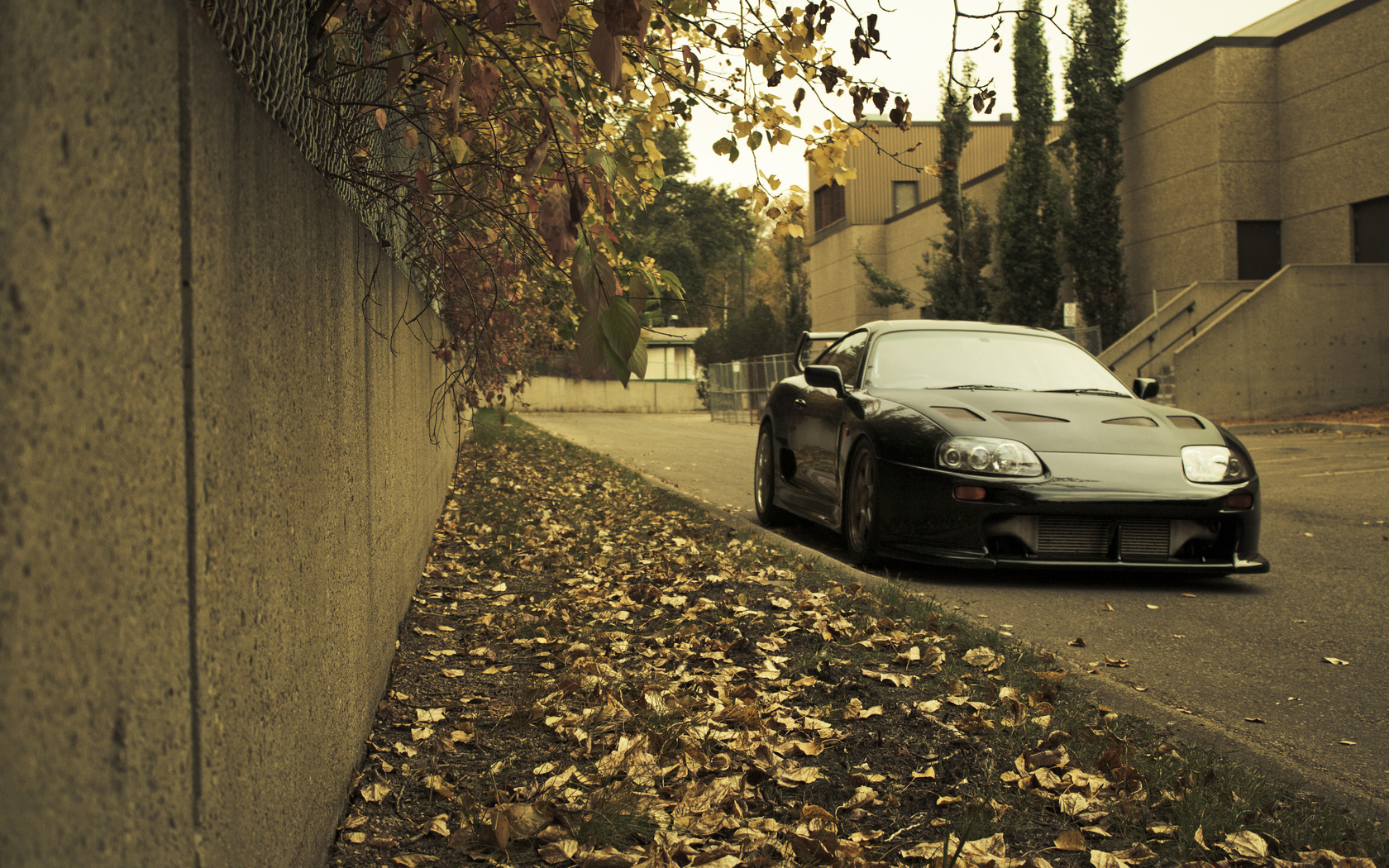 516553-20120404-ohnL0H.jpg