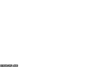 544401-20120505-smrgf0.gif