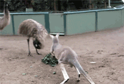 545021-20120505-J22u0H.gif