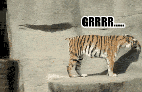 575441-20120606-qCYJEq.gif