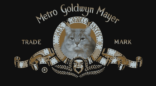 tumblr_m548k0gpMM1qzyufio1_500.gif
