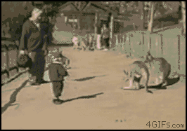 634707-20120807-zjJrC8.gif