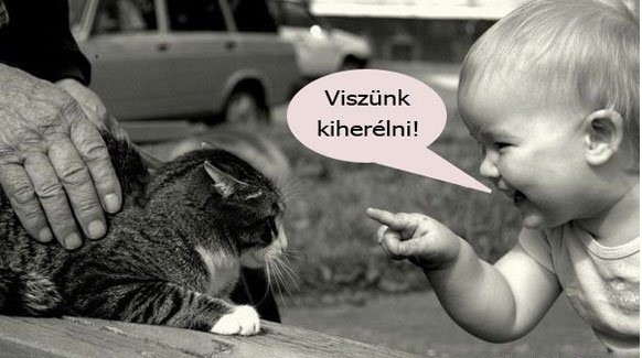 636077-20120808-QnyZOx.jpg