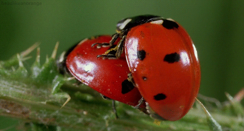 679656-20120908-Mjy5A1.gif