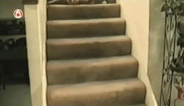 720175-20121008-agC60K.gif