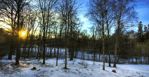 721695-20121010-8gBIR1.gif