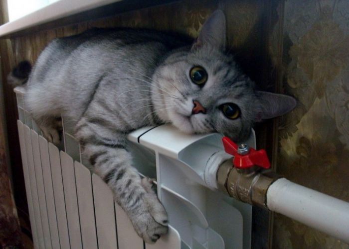 acid_picdump_09.jpg