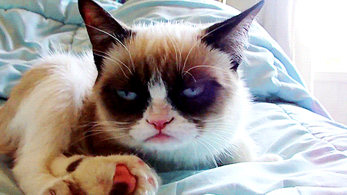762856-20121107-eGdrtC.gif