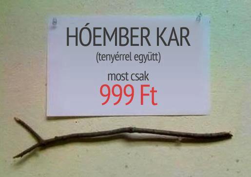 546805_417108978358133_1582409266_n.jpg