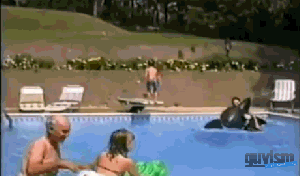 806880-20121211-vmKBPs.gif