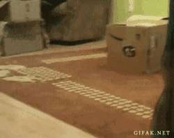 807737-20121212-ytQGm2.gif