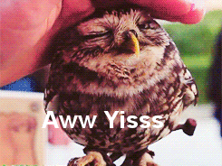 90777.gif