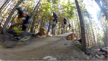 834166-20121231-ARF9zX.gif