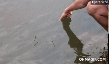886069-20130202-CMTmjn.gif