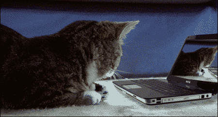 928742-20130302-0ZlYLL.gif