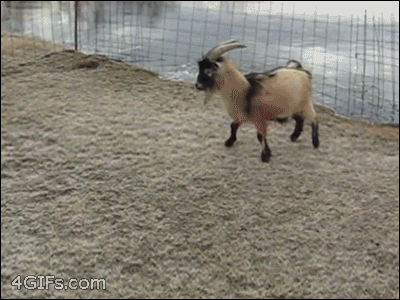 soup-5539-5082.gif