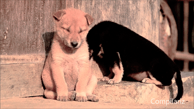 1017915-20130504-p9GqUL.gif