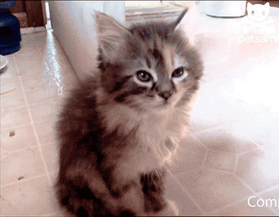 1017922-20130504-MKMR0o.gif