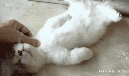 1.gif