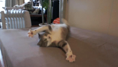 1132296-20130806-rCE7CP.gif