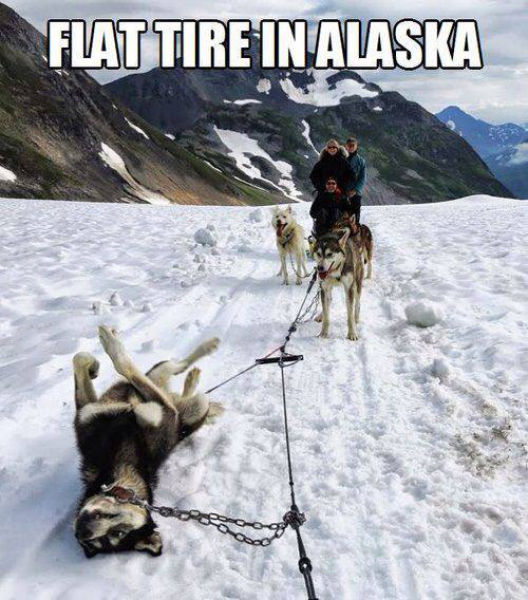 acid_picdump_63.jpg