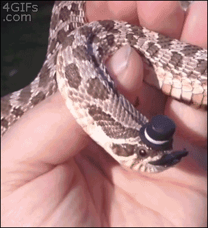 1209467-20131007-QqsldG.gif