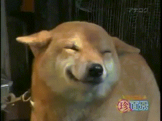 1212180-20131010-99tBDT.gif
