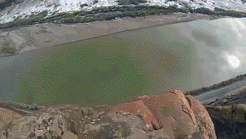 gifs_03.gif