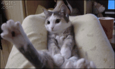 1293712-20131230-4QHh11.gif